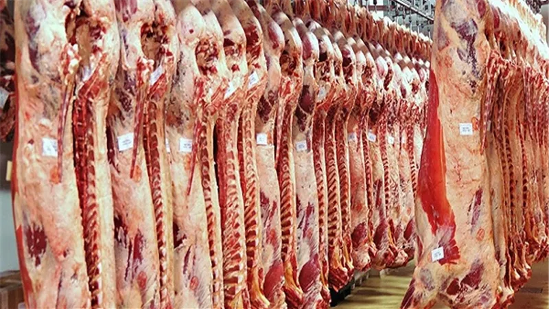 تعرف على أسعار اللحوم بالأسواق ومنافذ 
