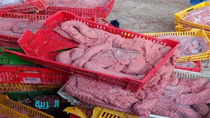 بالصور.. نكشف تفاصيل ضبط 17 طن لحوم فاسدة بناهيا 