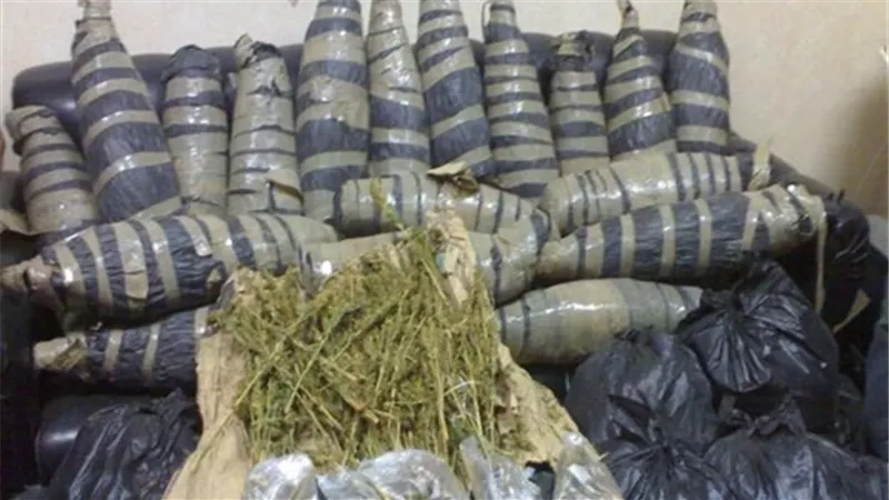 ضبط 16 كيلو بانجو فى مدينة بدر