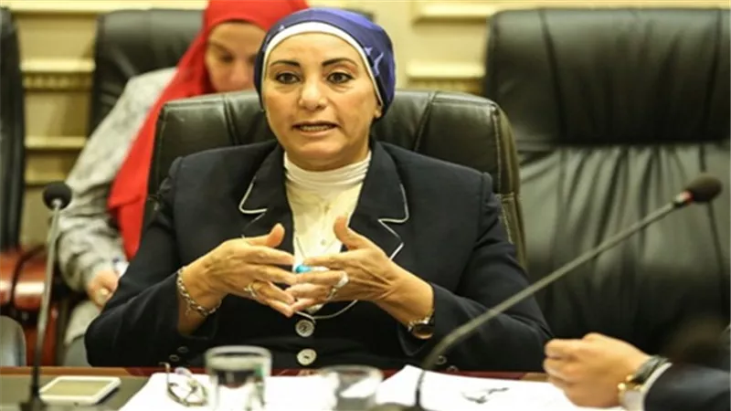 برلمانية: العمل الميداني هدف لجنة الإعلام خلال إجازة البرلمان