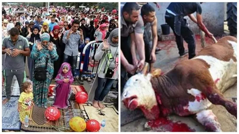 بالصور.. 