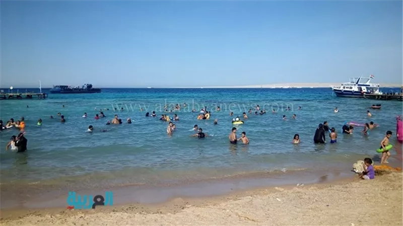 بالصور.. مشاهد من 