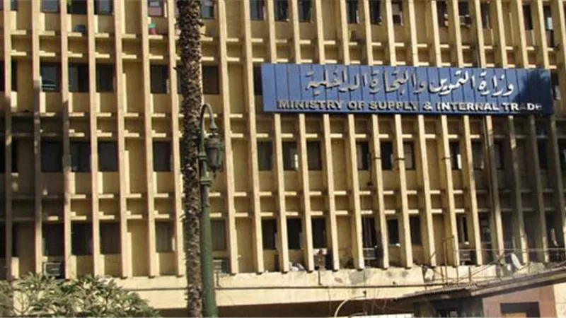 بالفيديو.. معاون الوزير: لا صحة لوجود مذبحة بـ