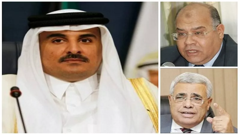 بالفيديو.. 