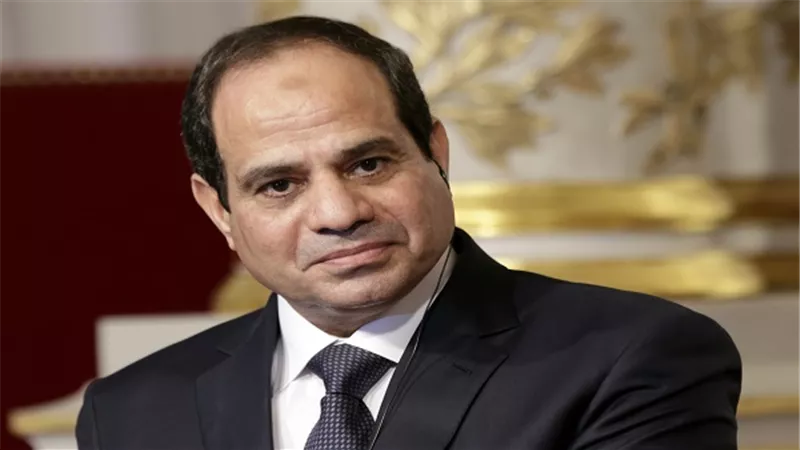 السيسي: نواجهة الهجرة الغير شرعية.. ولدينا أمل في إحداث التغيير