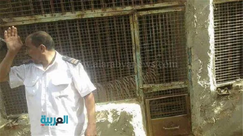 شاهد.. صور الحيوانات المفترسة داخل مزرعة العياط 