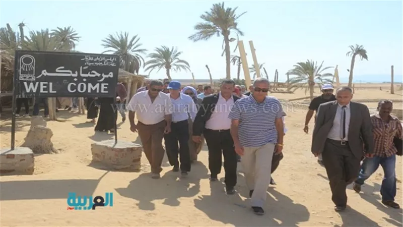 بالصور.. 