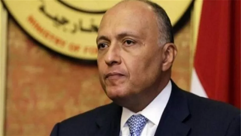 غدًا.. وزير الخارجية يلتقى بوفد مؤتمر القاهرة للمعارضة السورية