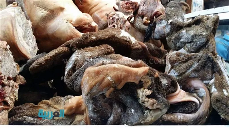 بالصور.. ضبط 5 أطنا ن لحوم فاسدة داخل ثلاجة فى الفيوم