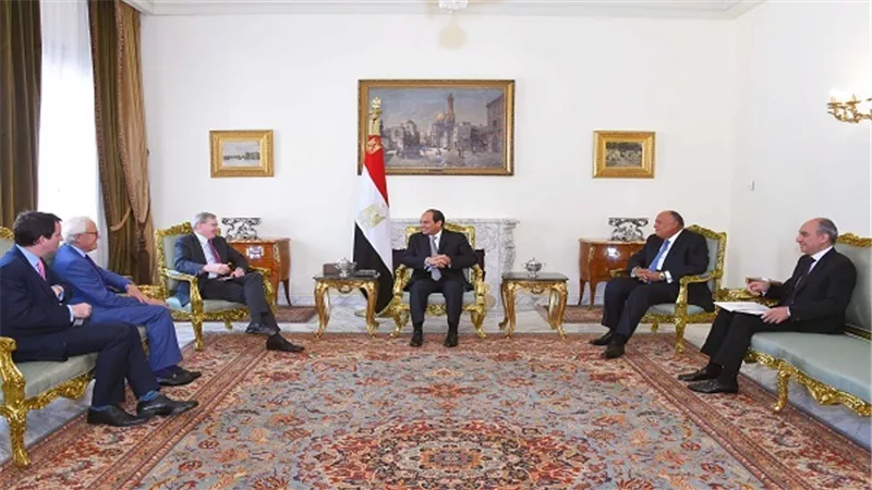 السيسي يستقبل وفدًا من مؤسسة 