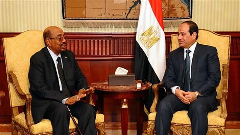 باحث بالشأن الإفريقي: يوجد تذبذب في العلاقات المصرية السودانية