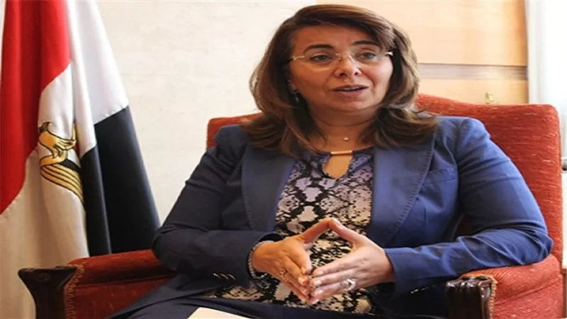 178 مليون جنيه اجمالي إيرادات صندوق تأمين الأسرة في 2016