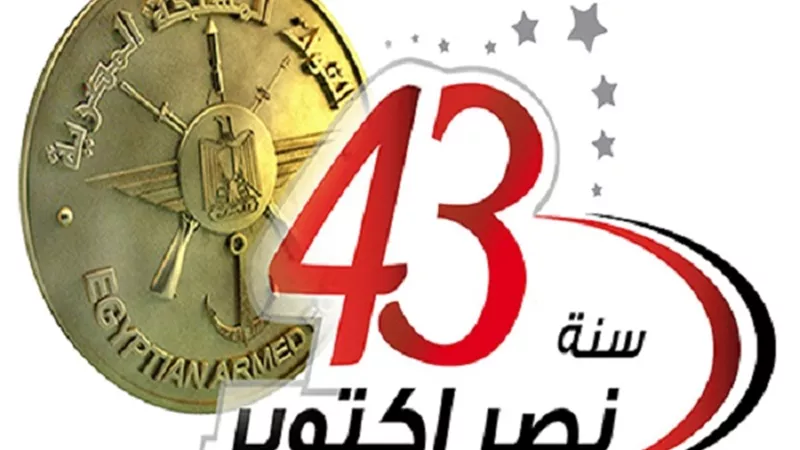 بالفيديو.. 