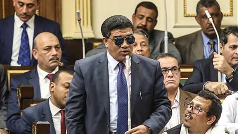 عن احتفالية النواب بشرم الشيخ.. خالد حنفي: