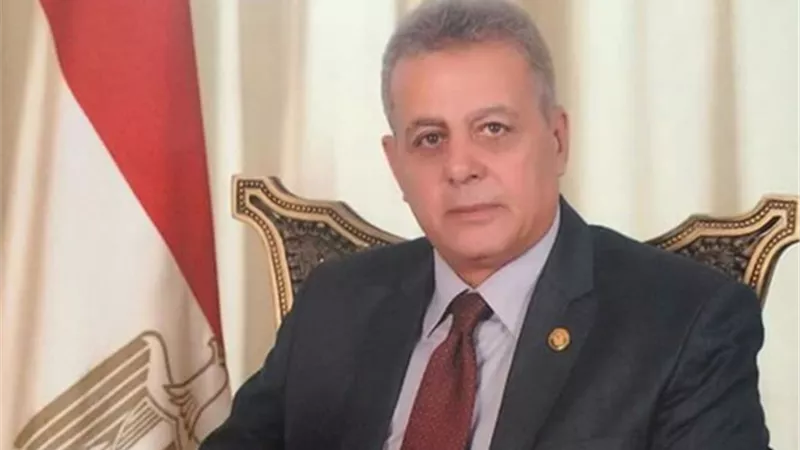 سلامة الجوهري: البرلمان سيصوت على قانون الخدمة المدنية اليوم