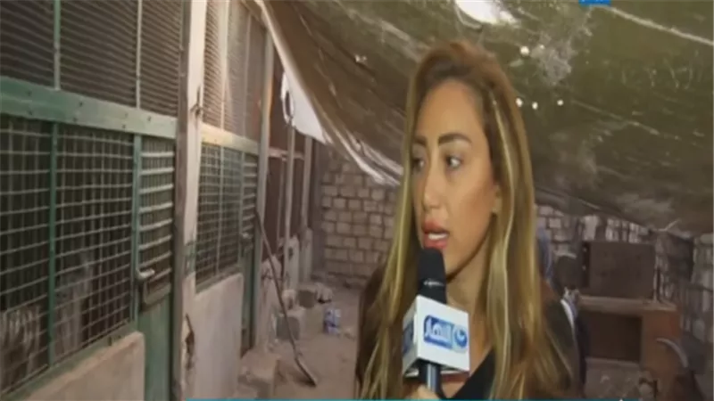 بالفيديو.. ريهام سعيد داخل مزرعة الحيوانات المفترسة بالعياط