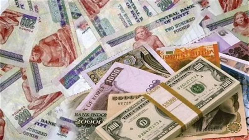 ننشر أسعار العملات الأجنبية والعربية أمام الجنية اليوم