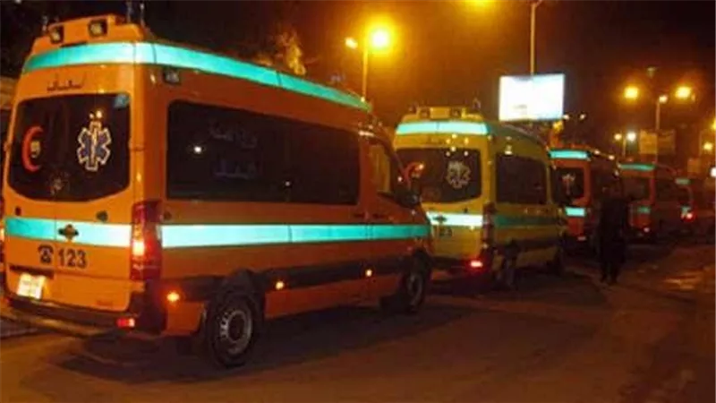 مصرع سيدة في تصادم ميكروباص بمدرعة شرطة ببئر العبد
