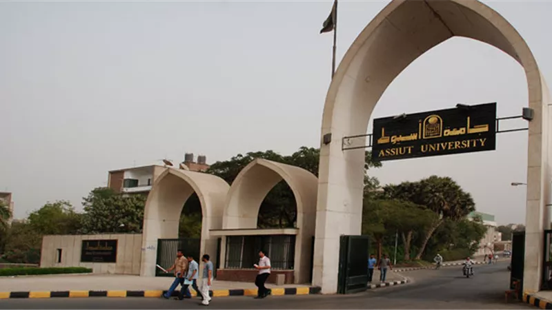 دراسة بجامعة أسيوط توصي بتوفير مخزون إستراتيجي من الحبوب الاستيرادية