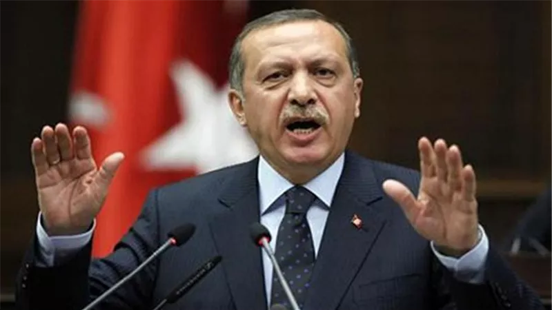 أستاذ علاقات دولية: اردوغان لا يملك القوة لزعزعة النظام المصري