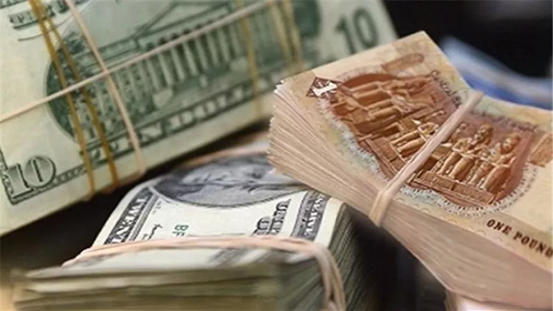 خبير اقتصادي يقدم رؤية لحل أزمة الدولار والجنيه.. الاعتراف بوجود المشكلة أول الحلول.. توقعات بفشل التعويم.. وضبط الواردات أبرز شروط روشتة النجاح