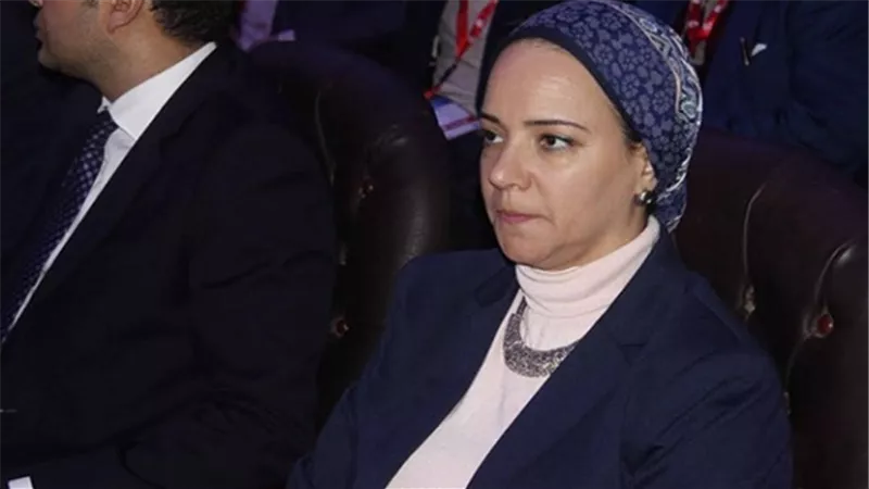 نانسي نصير: البرلمان سيمارس دوره التشريعي من توصيات مؤتمر شرم الشيخ 