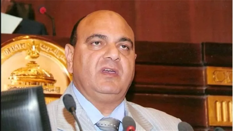 عصام القاضي: التأمين الصحي وهيئة الدواء على رأس أولويات لجنة الصحة