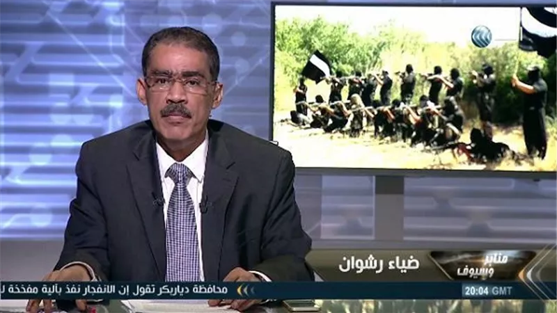 ضياء رشوان: 