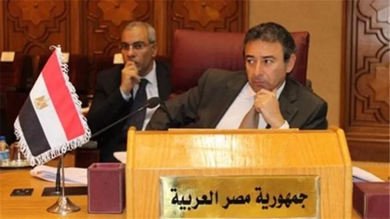 مساعد وزير الخارجية للشئون العربية يلتقي وفد فرنسي رفيع المستوى