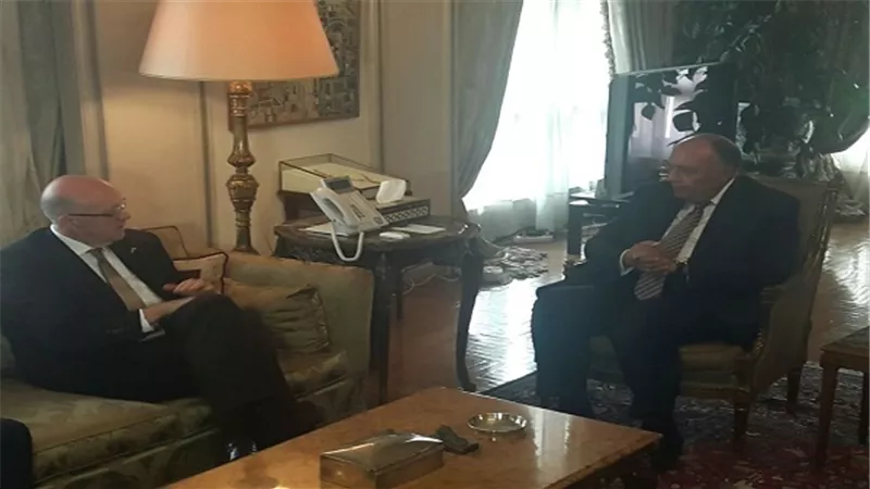 وزير الخارجية يستقبل الكسندر رضوان عضو البرلمان الألماني