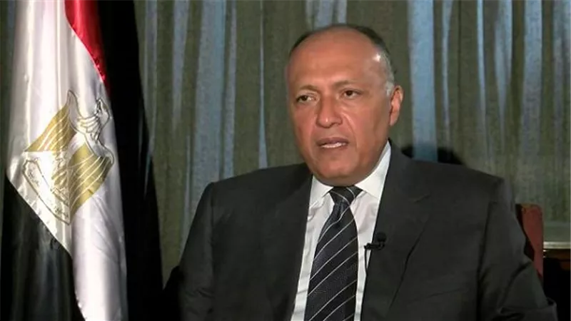 غدًا.. وزير الخارجية يلتقي بالمبعوث الأممي لليبيا مارتن كوبلر