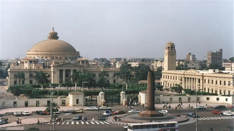 جامعة القاهرة تشارك في اليوم العالمي لمناهضة العنف ضد المرأة