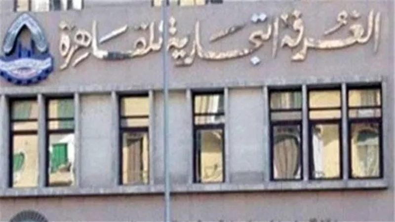 بالفيديو.. 