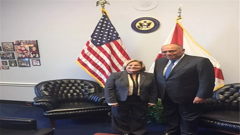 وزير الخارجية يلتقي بالنائبة الأمريكية إلينانا روسليتين