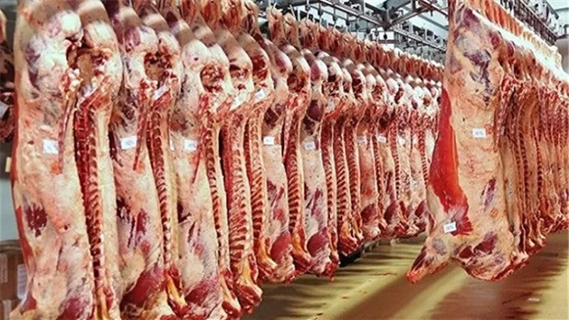 3 ملايين جنيه لتحقيق الاكتفاء الذاتي من اللحوم بالسويس
