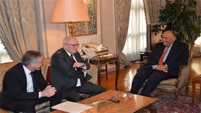 بالصور.. سامح شكري يلتقي زعيم الأغلبية بالبرلمان الألماني