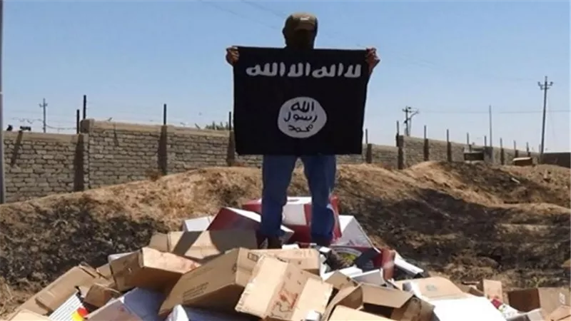بالفيديو.. داعشي يرفع علم الخلافة على الحدود الدنماركية الألمانية