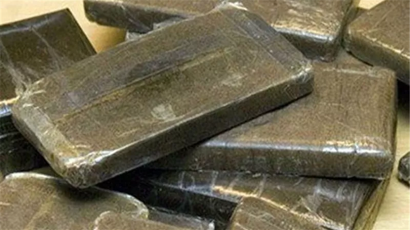 سقوط عاطل بحوزته نصف كيلو حشيش بالمنيا
