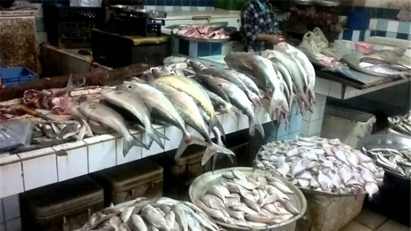 استقرار أسعار الأسماك بالعبور.. والبلطي يسجل 15.5 جنيهًا