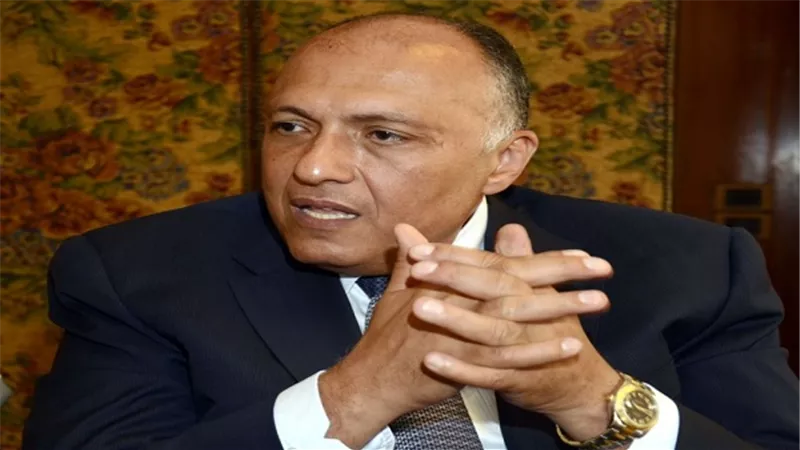 وزير الخارجية يحذر من ميلاد 100 ألف إرهابي في مصر