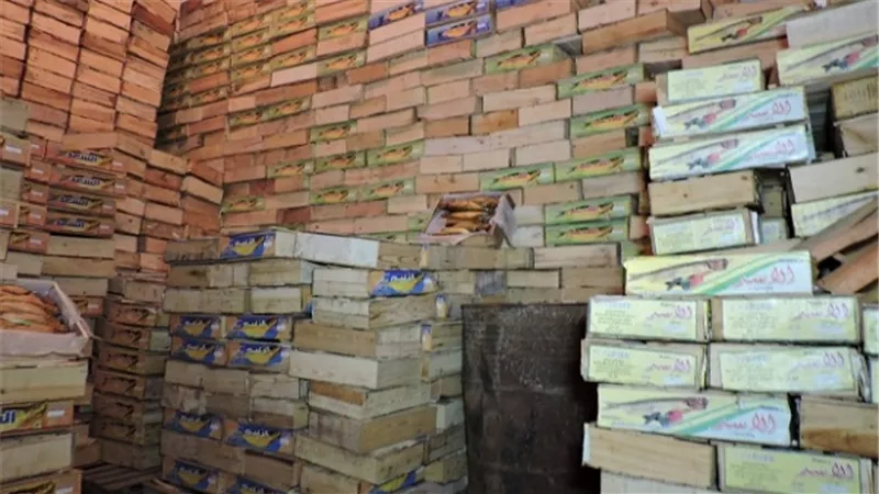 مصادرة 1400 عبوة ملح و190 صندوق رنجة فاسدا بالغربية