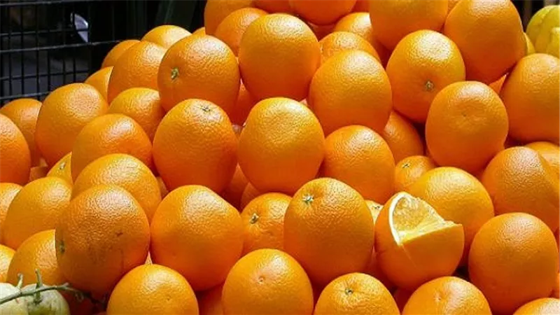 تباين أسعار الفاكهة بسوق العبور.. والبرتقال يتراجع 25 قرشًا