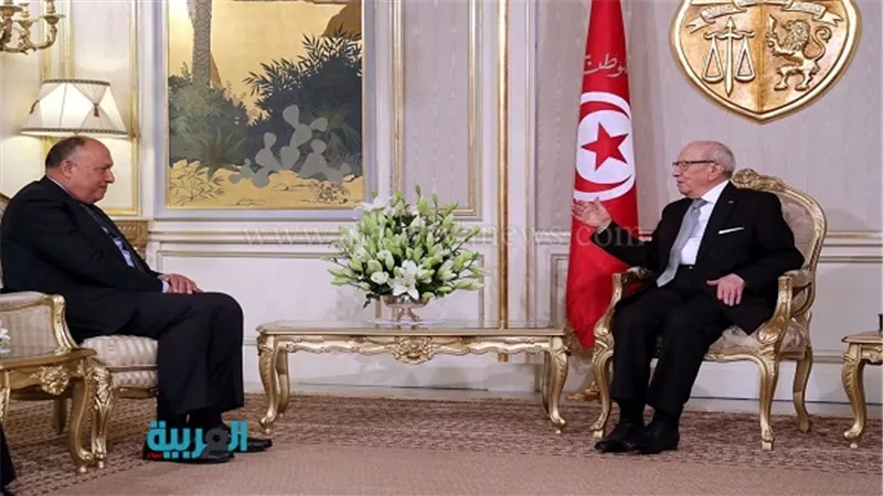 بالصور.. 