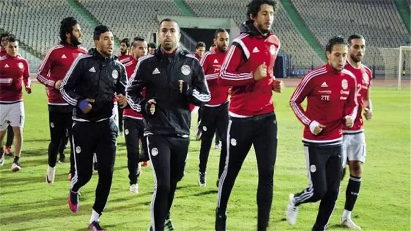 إيناس مظهر: 