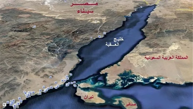 براءة متظاهري 