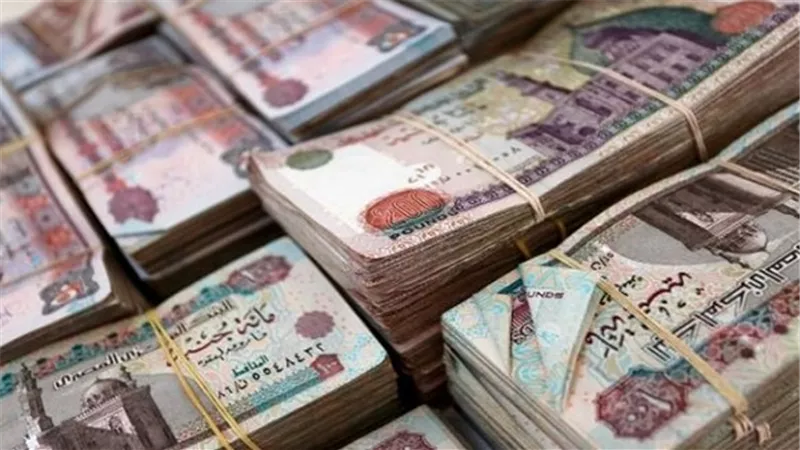 القبض على رجل وزوجته أنشآ شركة توظيف أموال وهمية بروض الفرج