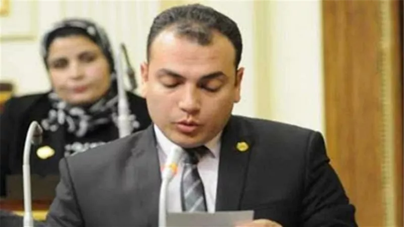 شريف نادي: مشروعات 
