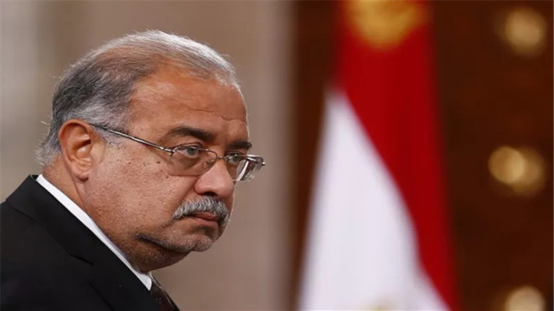 رئيس الوزراء يشكل لجنة لإعادة هيكلة هيئة الثروة السمكية