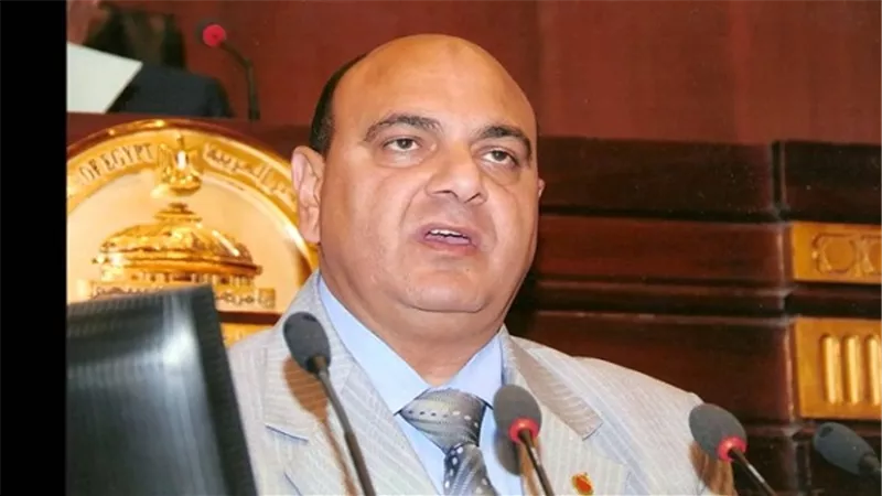 برلماني: تصنيع الخامات محليًا يقضي على أزمة الأدوية