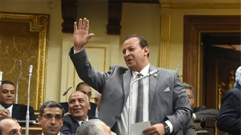 برلماني: تكليفات الرئيس للوزراء الجدد تكشف اهتمامه بتوفير حياة كريمة للجميع